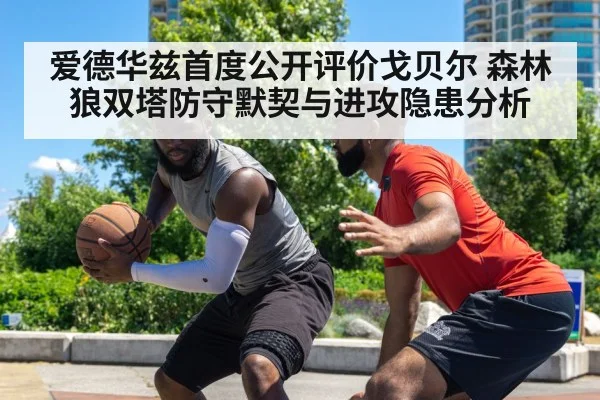 爱德华兹首度公开评价戈贝尔 森林狼双塔防守默契与进攻隐患分析